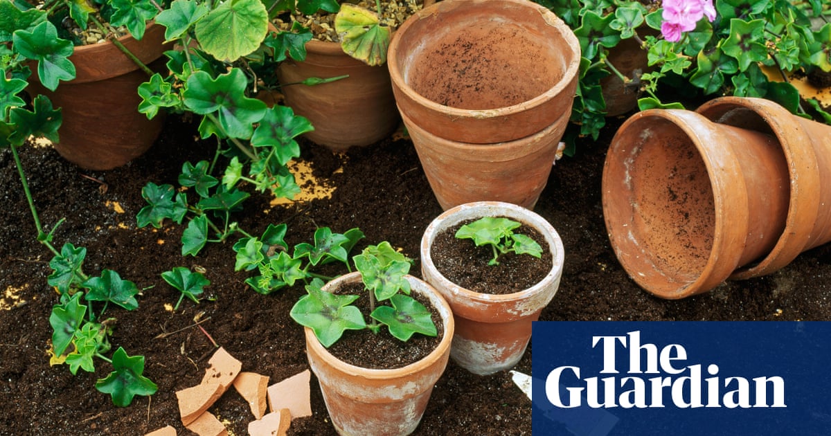 how to grow new