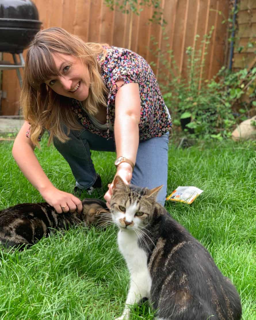 Cat Food Should You Spend More On Posh Brands Money The Guardian Cat Food Should You Spend More On Posh Brands Money The Guardian