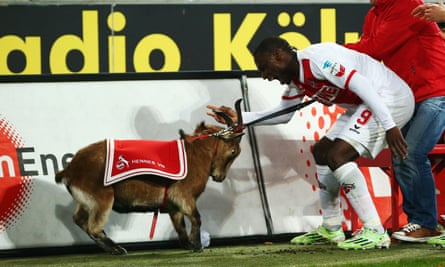 Anthony Ujah celebrates by grabbing Hennes VIII by the horns.