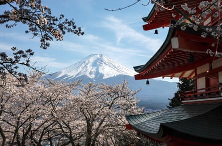 apan’s highest peak Mount Fuji is seen over cherry blossoms in full bloom and a memorial pagoda for war dead at Arakurayama Sengen Park in Fujiyoshida, Yamanashi Prefecture, central Japan, 16 April 2019.