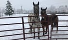 Monster snowstorm to blanket