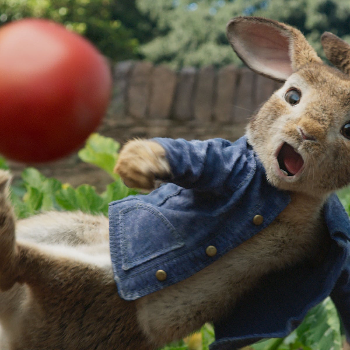 Beatrix Potter Would Not Have Liked Peter Rabbit Film Biographer Beatrix Potter The Guardian