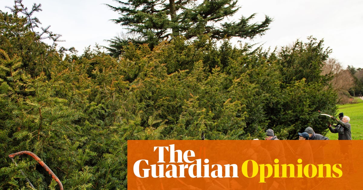 If boomers don't want wealth taxes they can give their time and skills | Phillip Inman