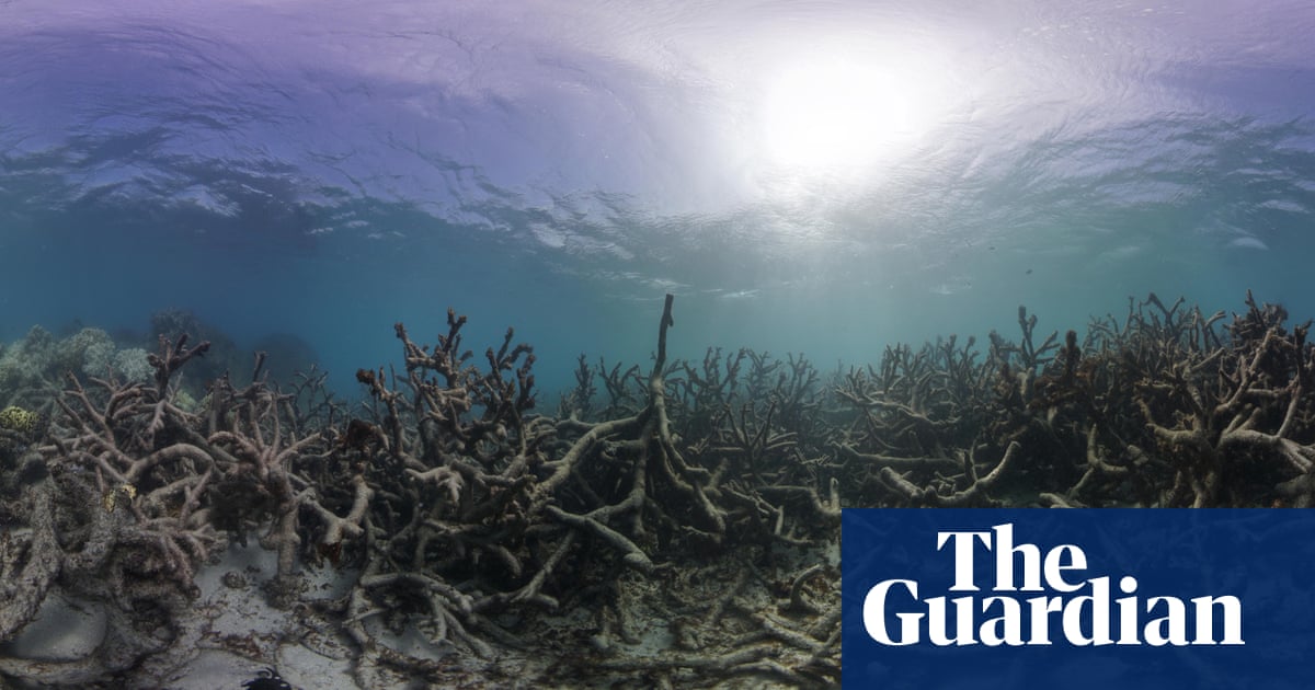 This is what climate change looks like in Australia in pictures Australia news The Guardian This is what climate change looks like in Australia in pictures Australia news The Guardian