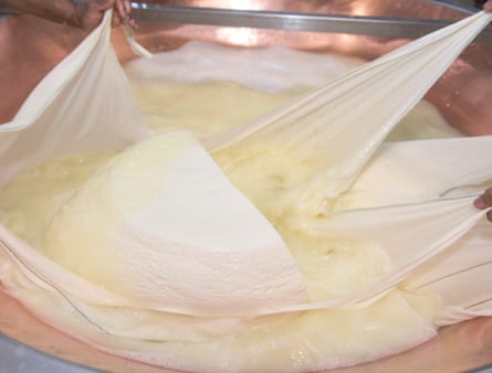 The production of parmigiano reggiano inside the San Girolamo dairy.