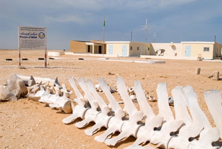 The whale skeleton outside the Iwik patrol post is testament to the area’s rich biodiversity.