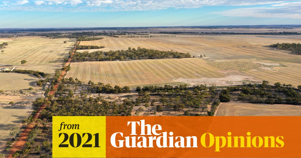 Soil carbon sequestration on farms alone won’t absolve our daily