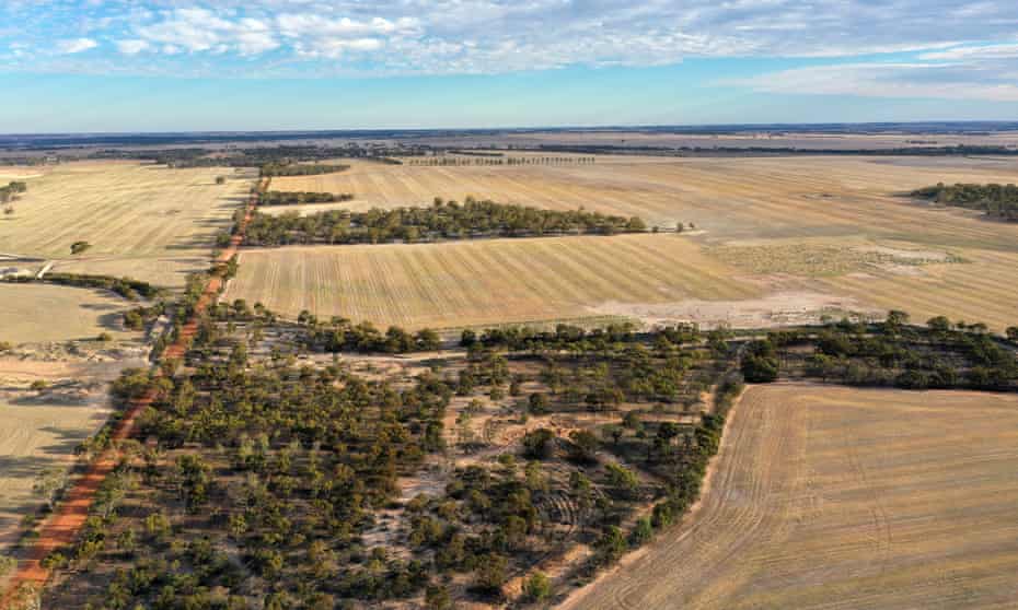 Aerial view of a farm in Corrigin, Western Australia
