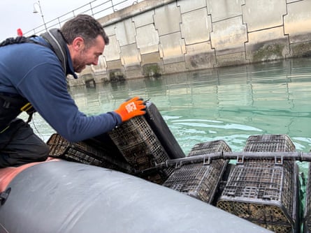 Lawlor, in a boat, leans over to pick up a basket of oysters