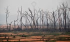 The Guardian view on the threat of Bolsonaro: tropical disaster is man-made | Editorial