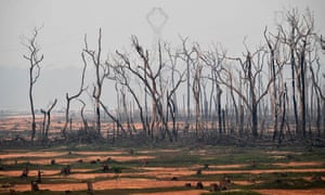 Burned areas of the Amazon rainforest, near Porto Velho, Rondonia state, Brazil, on 24 August 2019.