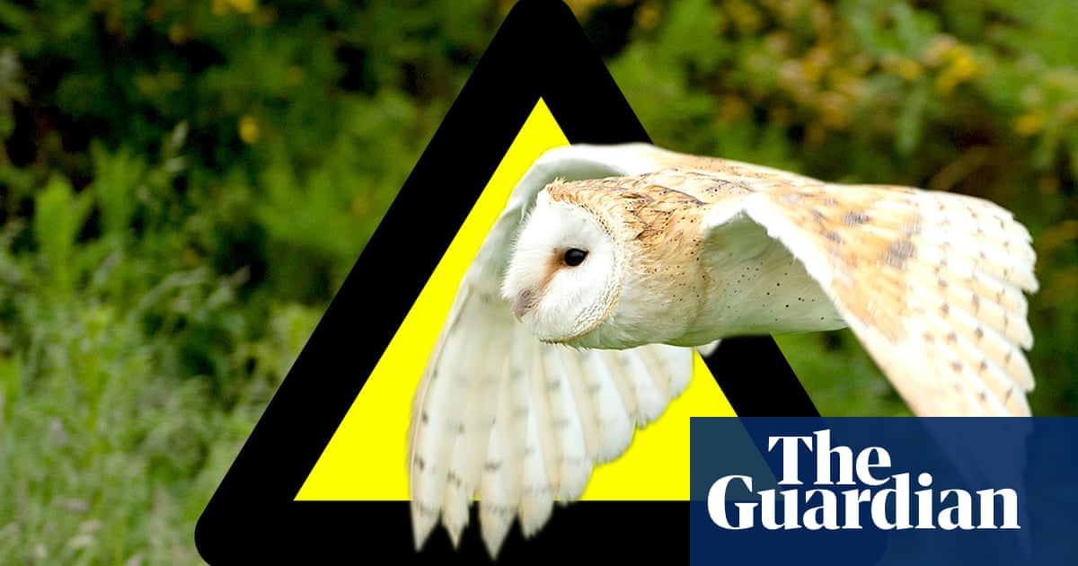 HS2 will destroy or damage hundreds of UK wildlife sites – report
