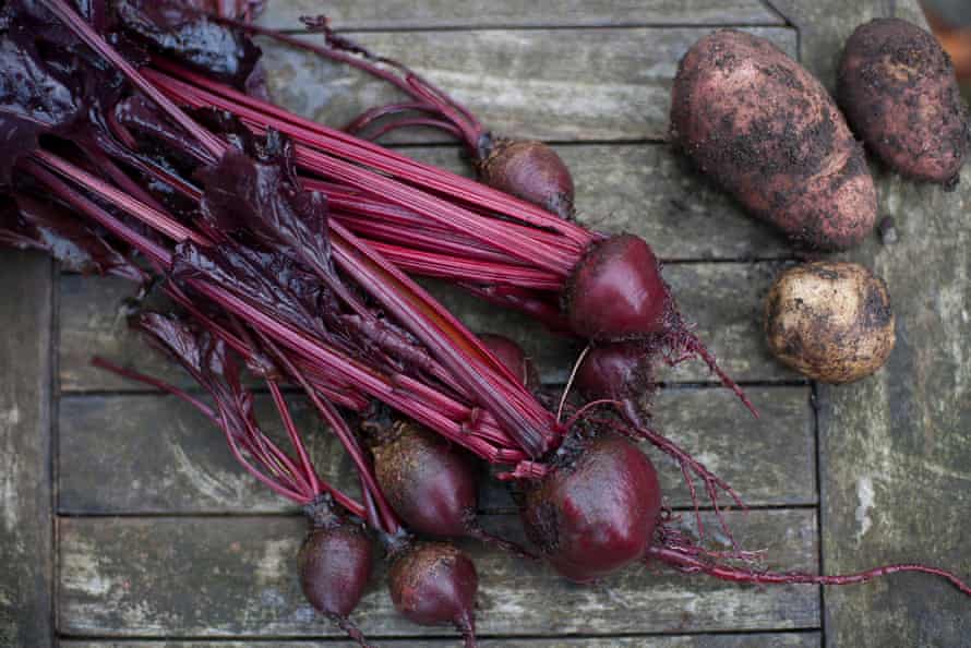 Ripe beetroot from Allan’s allotment.