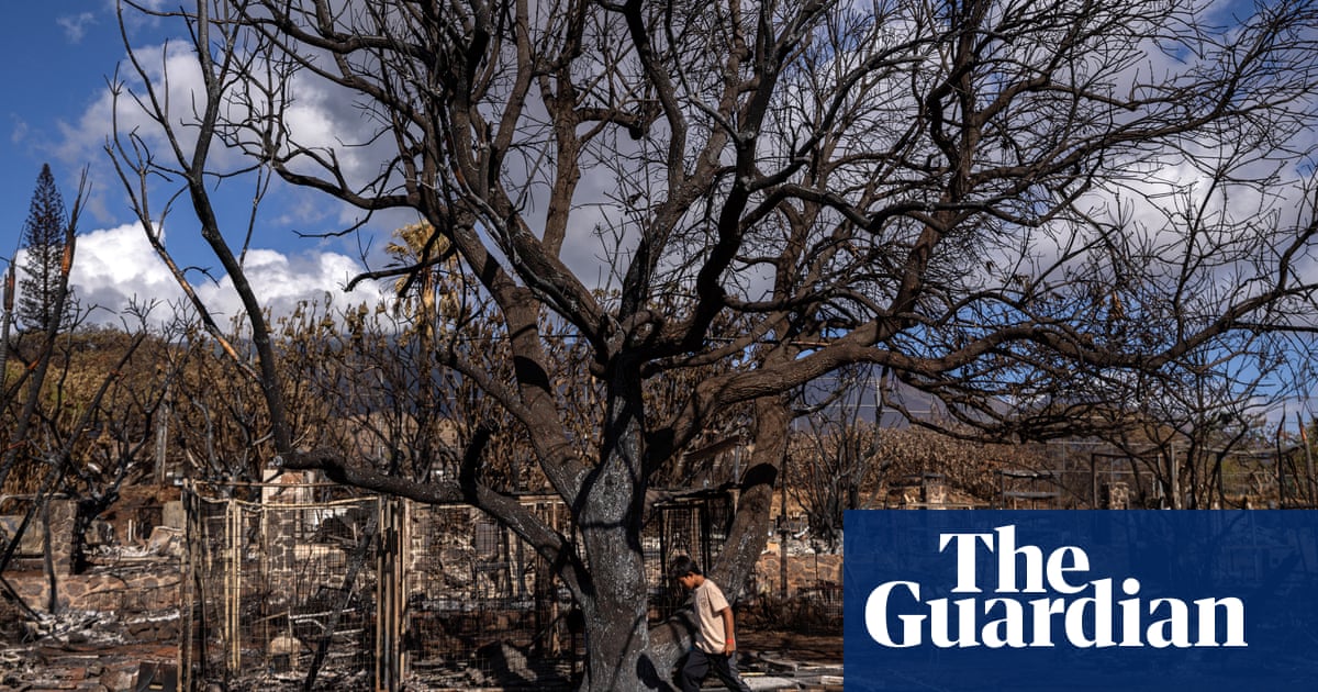 Poverty in Lahaina has doubled after 2023 wildfire: 'We're cutting down on what we eat'