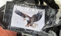 Rectangular package wrapped in clear plastic wrap and a picture of a flying bald eagle