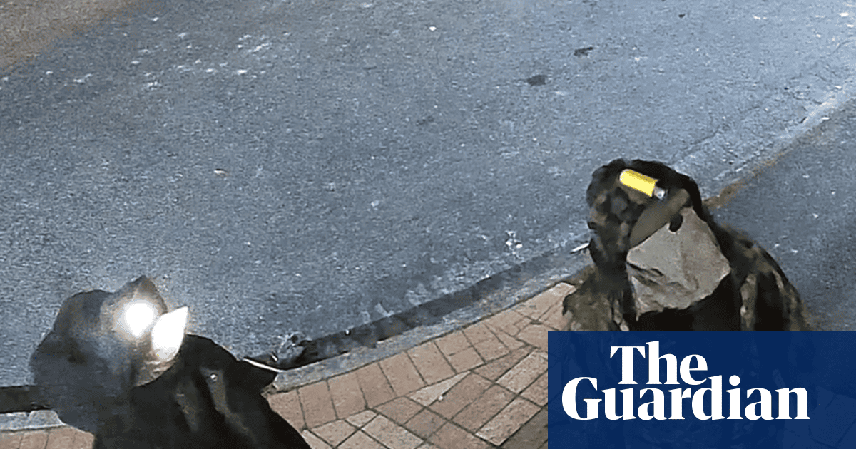 New Zealand fugitive and one of his children spotted on CCTV after four years on the run, police believe