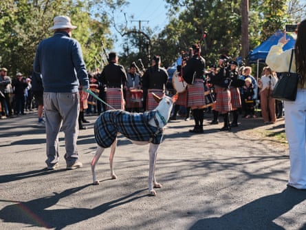 There were many shade of Tartan on display in Pearl Beach in a show of Scottish support for the Pearly Spurtle.