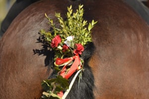 The horses are decorated to look good from all angles