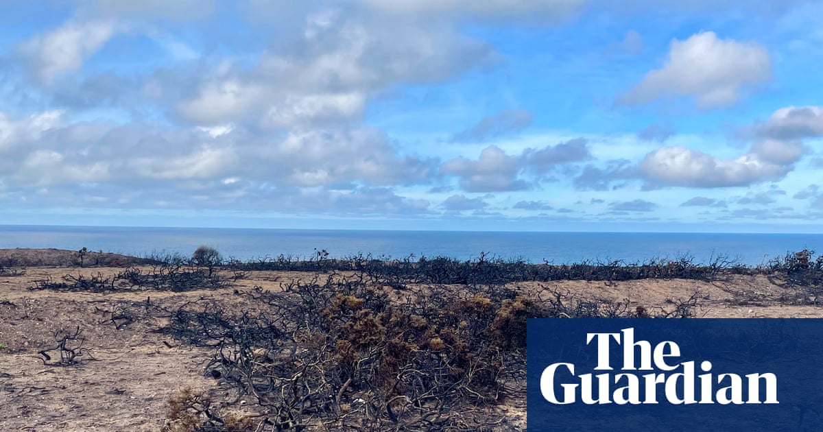 Country diary: The land here is scarred from a year of hard weather - now what will winter hold? | Alexandra Pearce-Broomhead