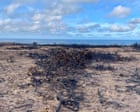 Country diary: The land here is scarred from a year of hard weather – now what will winter hold? | Alexandra Pearce-Broomhead
