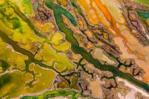 From the Sky winner: <em>The art of algae</em> by Pere Soler (Spain) <br>In the Bahía de Cádiz natural park on the coast of Andalucia, Spain, Soler captured a spring phenomenon, only fully visible from the air. As the temperature warms and the salinity changes, the intertidal wetlands are transformed by colour as bright green seaweed intermingles with multicoloured microalgal blooms. White salt deposits and brown and orange sediments coloured by sulphurous bacteria and iron oxide add to the riot of colour.