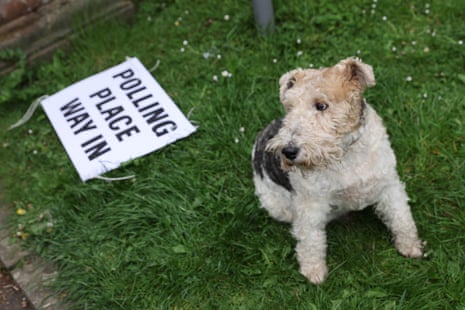 A dog waiting outside Pollokshields Burgh Hall polling station in Glasgow, Scotland.