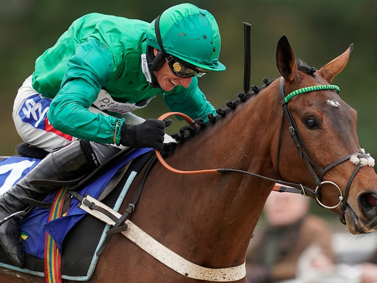 Talking Horses Janika The Solid Tip In Competitive Tingle Creek Horse Racing Tips The Guardian