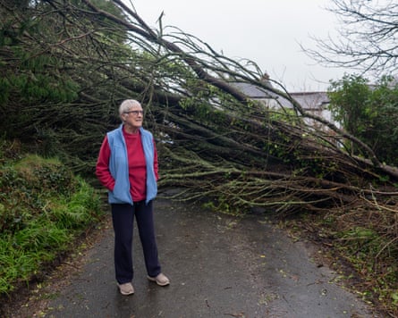 Jan Shearn standing in front of a tree that has fallen across a road
