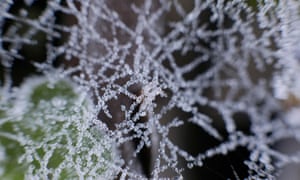 (
Britain faces icy return to work at beginning of 2017
)