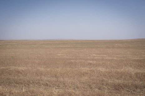A plain landscape of dry grass