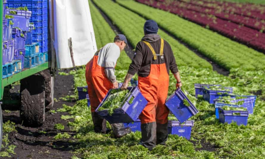 Is your farm facing problems with recruitment of seasonal workers?