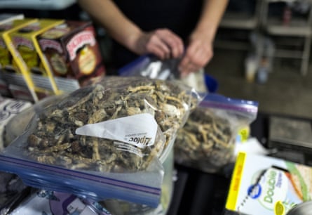 A vendor bags psilocybin mushrooms at a pop-up cannabis market in Los Angeles.