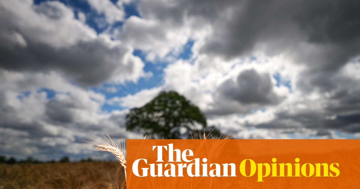 Reform says we need to choose between climate and economy. It's wrong | Larry Elliott