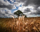 Reform says we need to choose between climate and economy. It's wrong | Larry Elliott