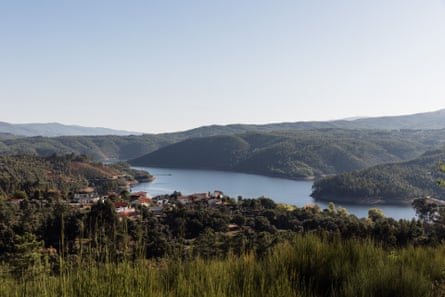 Cabril Dam surrounded by a majority of native vegetation, coexisting with eucalyptus trees.