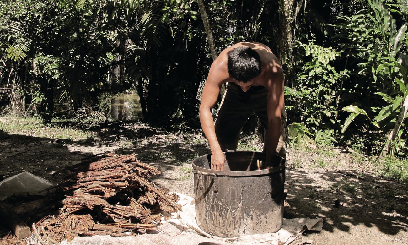 Making ayahuasca
