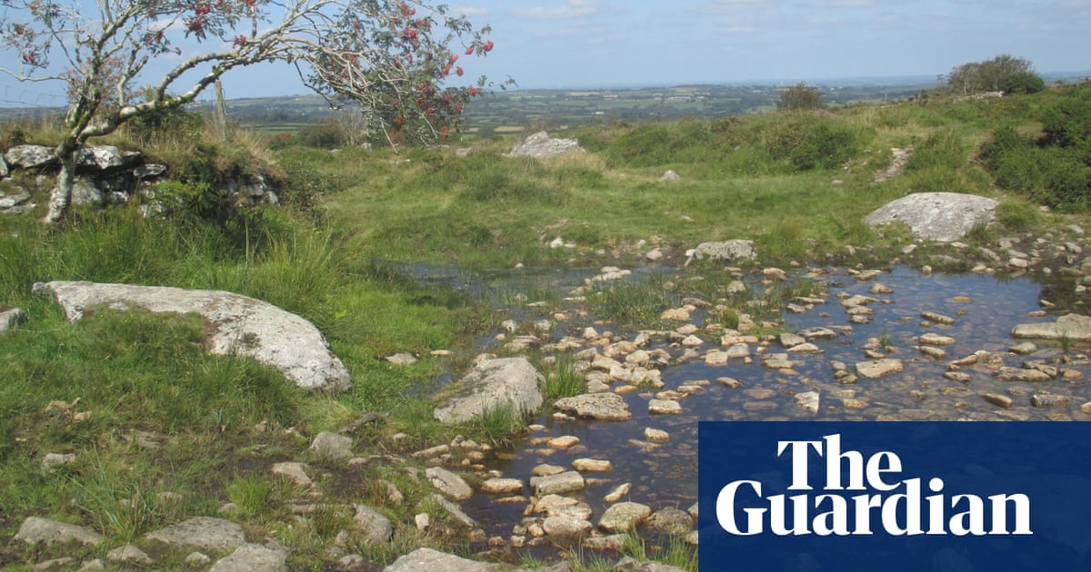 Country diary: vignettes of life across the moor