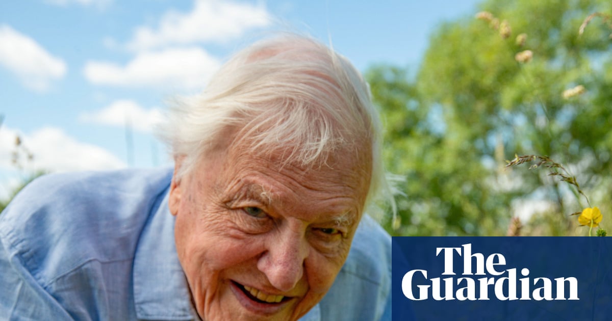 David Attenborough at 100: share your memories