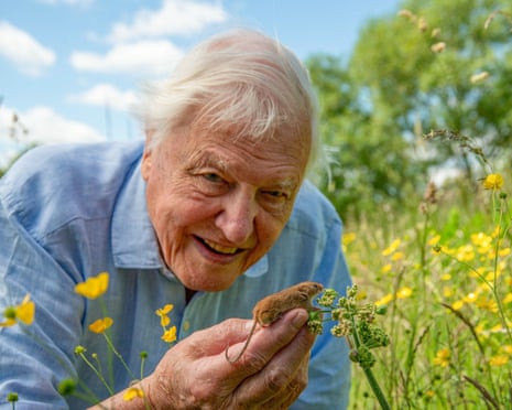 David Attenborough at 100: share your memories | David Attenborough | The Guardian