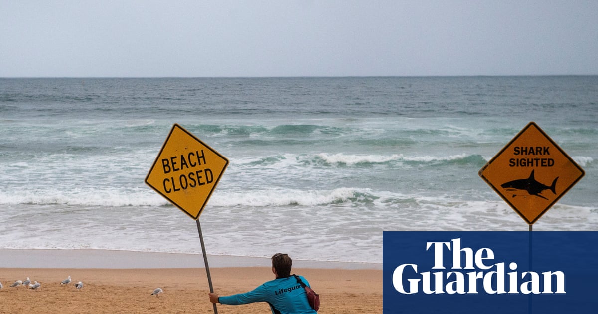 Surfer attacked by shark on NSW's mid-north coast in fourth incident in three days