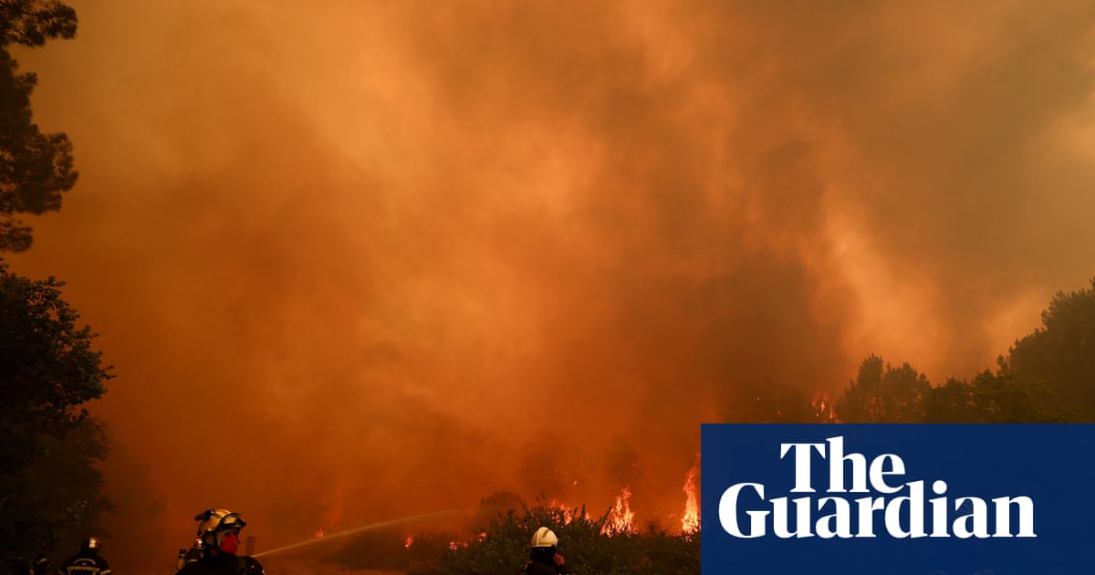 How dangerous are wildfires and how can we stop them from getting worse?