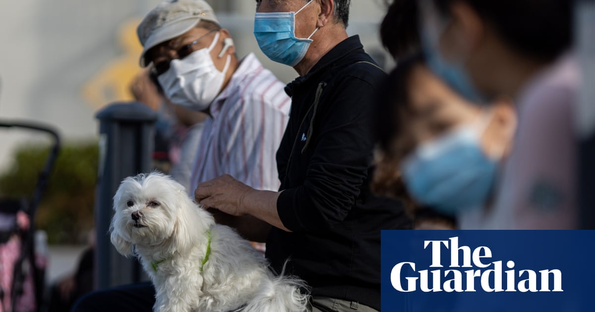 Hong Kong Warns Residents Not To Kiss Pets After Dog Contracts