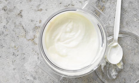 Yogurt Making - Tasty & Good For Your Gut - Gone With The Wynns