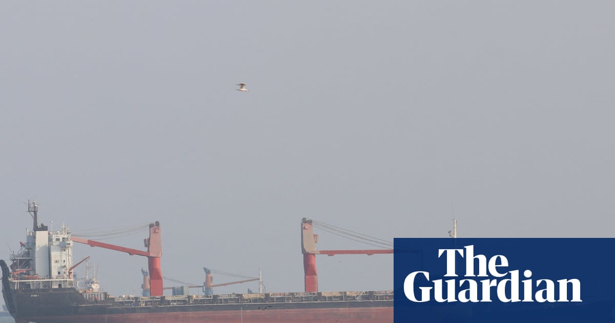 Container ship sinks near strait of Hormuz amid surge in Iranian attacks