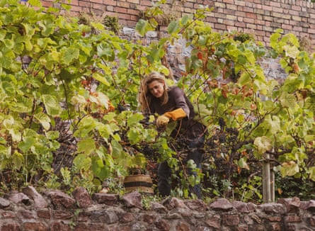Katy Grant pruning her vines.