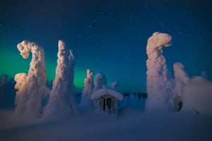 An eerie scene in Lapland, where snow-covered trees look like clouds dropped on the landscape.