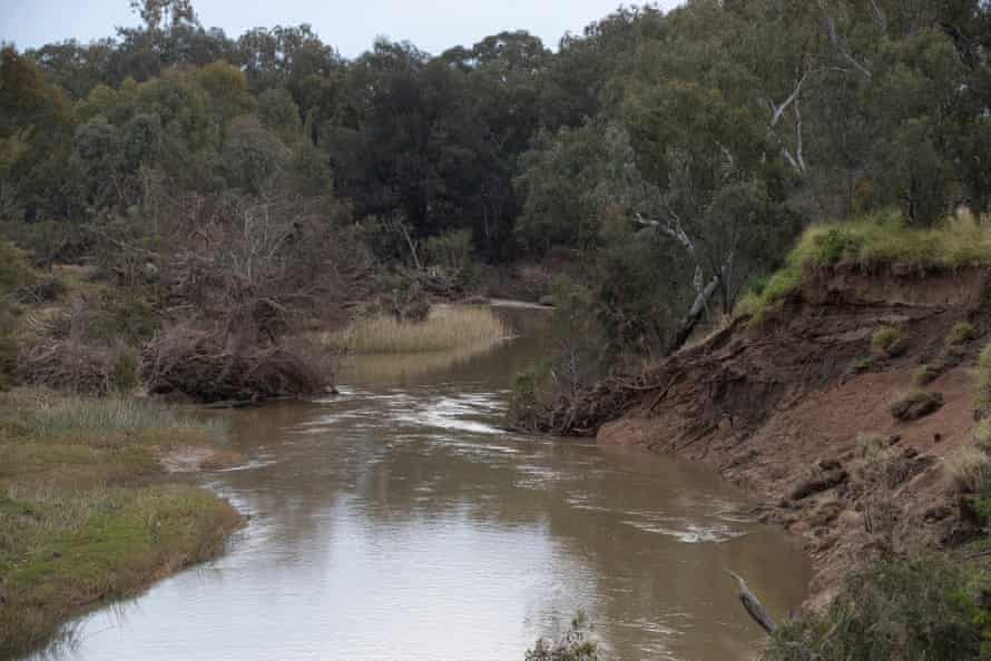 The steep banks of the Gwydir River approximately 6 km north of the town of Moree on the Carnarvon Highway where Gordon Copeland, a 22-year-old Gomeroi man was last seen.