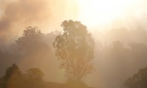 Image result for Homes lost in Queensland, Australia, bushfires