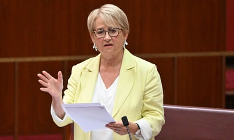 Greens senator Barbara Pocock