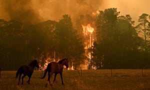 Bushfire NSW